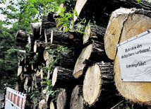 „LEBENSGEFAHR“ – warnt ein Zettel am Stapel, aber gesichert ist das Holz an der Maschseequelle nicht. - Foto: Reinhardt „LEBENSGEFAHR“ – warnt ein Zettel am Stapel, aber gesichert ist das Holz an der Maschseequelle nicht. - Foto: Reinhardt
